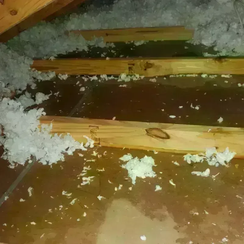 Best Attic Water Damage Service in Kingston, OK