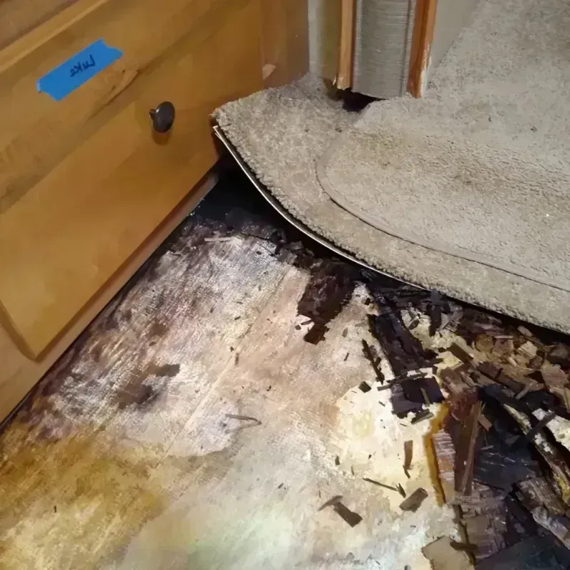 Best Wood Floor Water Damage Service in Kingston, OK